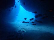 ݂قMiyako Blue Trip̓eʐ^2