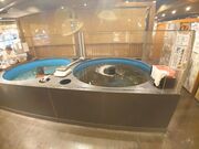 ̂тCN Ȏs̓eʐ^11