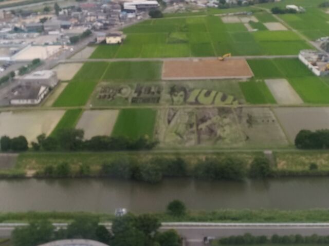 �Q�O�Q�T�N�̓c��ڃA�[�g_����ʎ������g��