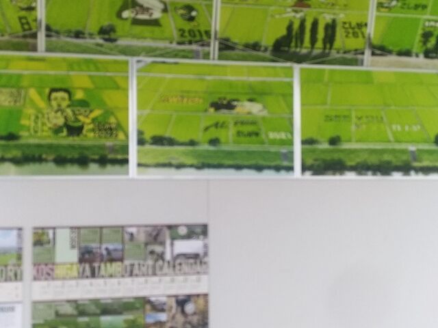 �ߋ��̍�i_����ʎ������g��