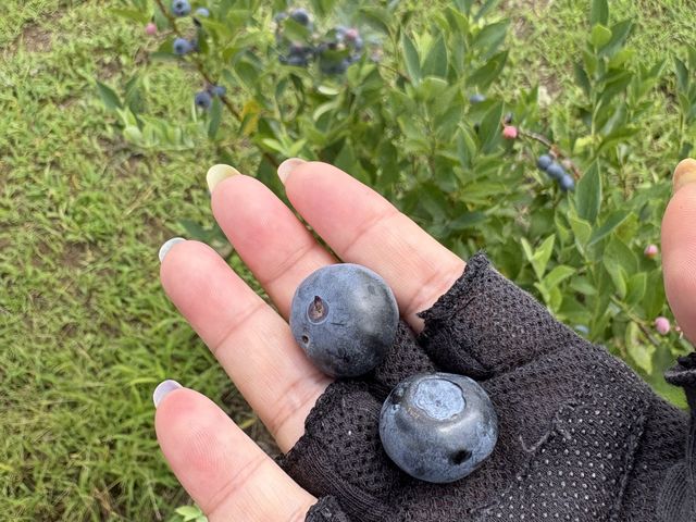 �嗱�ŊÂ��ł�_�V���K�[�f���`�c�ɃJ�t�F�`