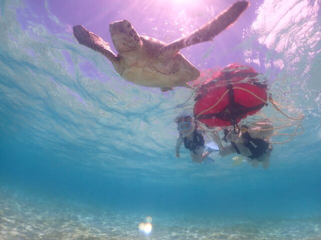 �E�~�K����_���C��