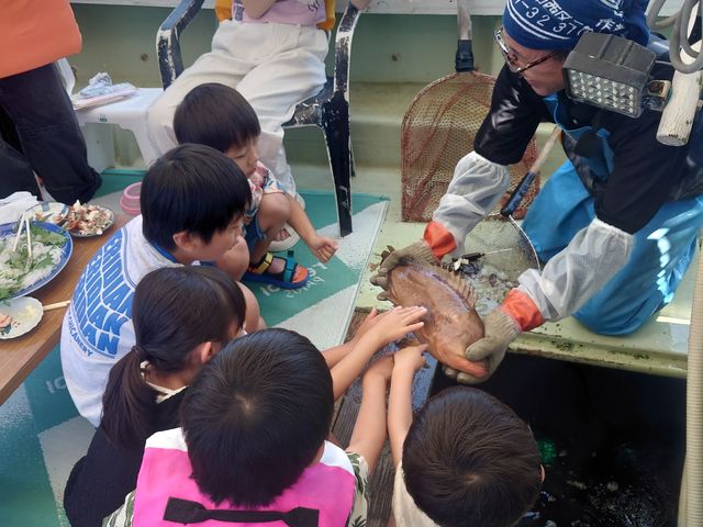 �V�����I�I_�󐳊�