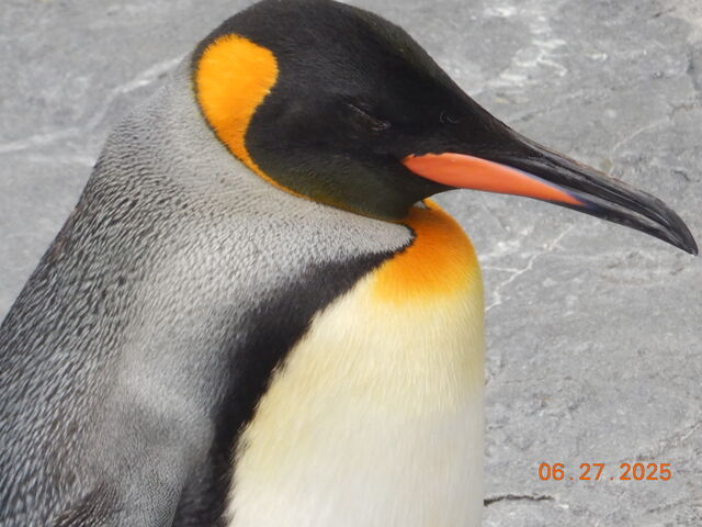 �y���M��_���R������