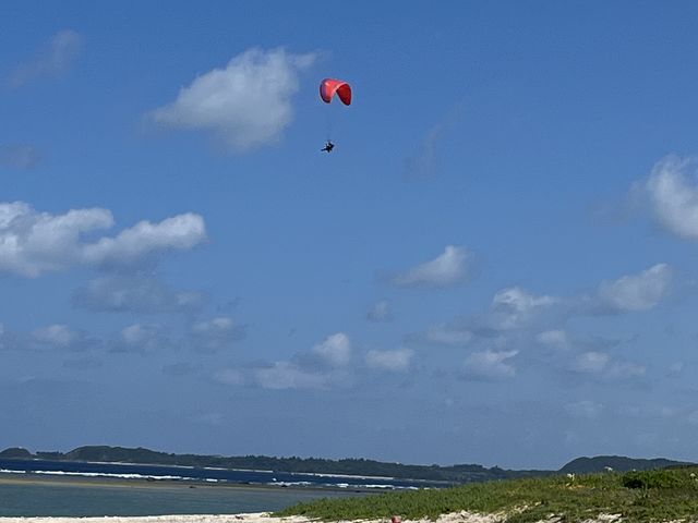 �ō�_�����p���O���C�_�[�K�C�h�T�[�r�X�n�b�s�[�X�J�C