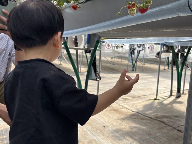 �ƂĂ��y���������ł��I_�P���P���̓m