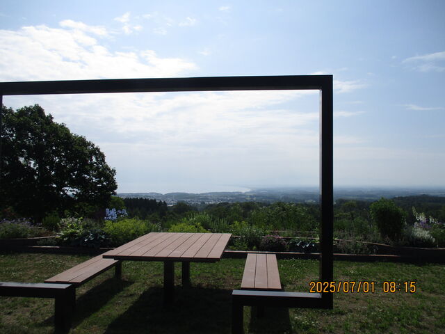 �L�ꂩ��̌����炵_�V�s�R�W�]��