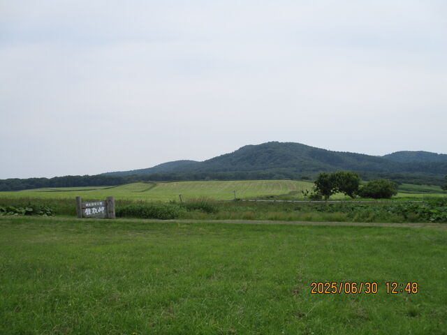 �\�斦�̗����̕��i_�\�斦�C��