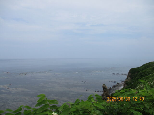 �\�斦�̊C���̕��i_�\�斦�C��