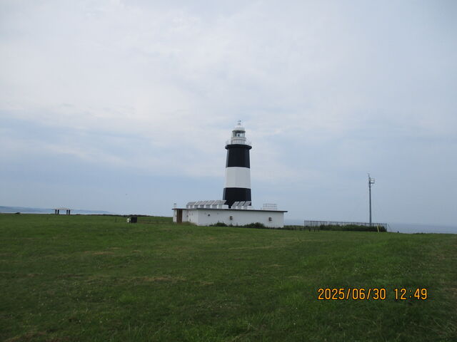 �\�斦�̓���_�\�斦�C��