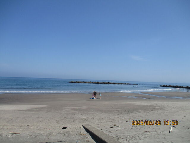 �C�^���L�l���牫���i����j������_�C�^���L�l