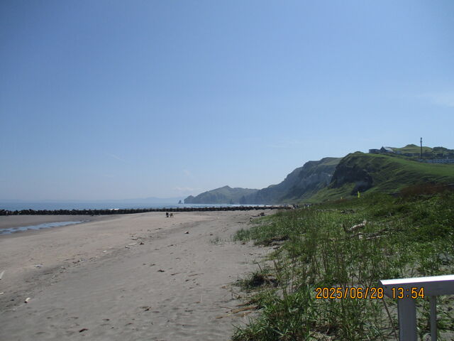 �C�^���L�l����n�����̕��p������_�C�^���L�l