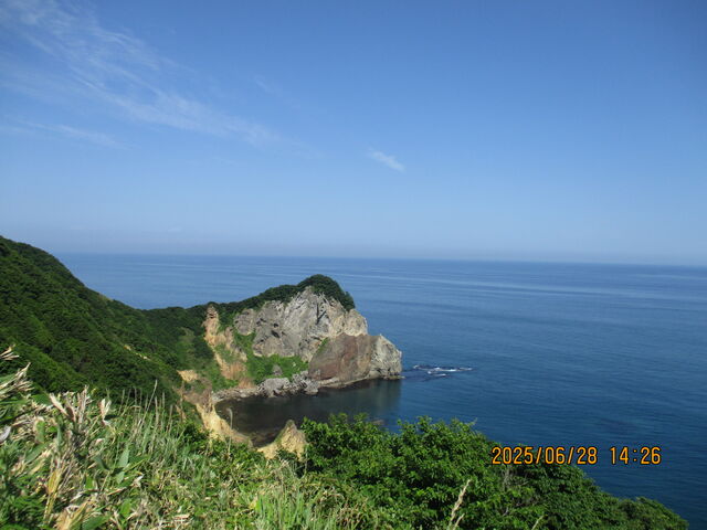 �����g�b�J���V��_������