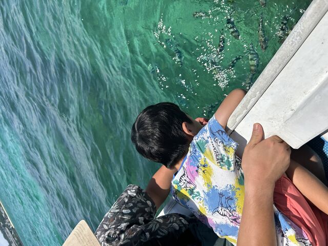 �߂��܂ŋ������Ă���Ďq�����y���߂܂���_�w�q���̗V�я�x �}�����V���b�v��