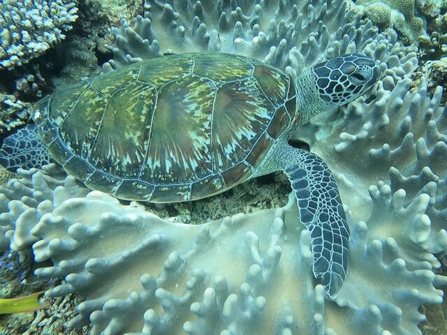 �C�K������܂���_�_�C�r���O�T�[�r�X�W���~���O