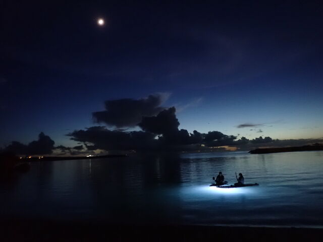 �i�C�gSUP_�n���^�I�[�V�����T�|�[�g