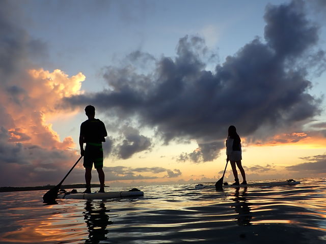 �T���Z�b�g�����Ȃ����SUP_�n���^�I�[�V�����T�|�[�g