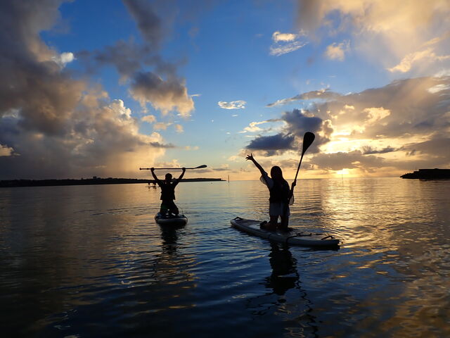 �ō����Y��ł����I_�n���^�I�[�V�����T�|�[�g