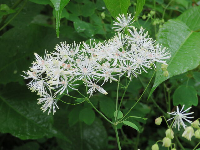 �~���}�J���}�c_�㍂�n�@�z�e��������