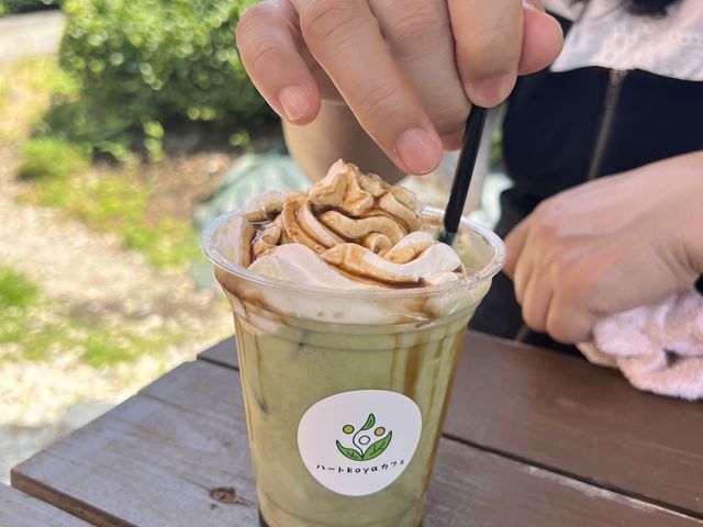 �������e�������������I_�t���ブ���@�V��̗V����