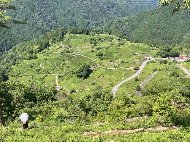 �V��̒���_�t���ブ���@�V��̗V����