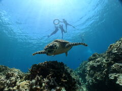 ����񂳂�̃f�B�[�Y�p���X����ւ̓��e�ʐ^1