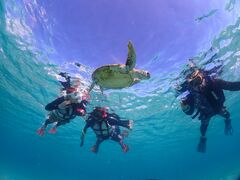 Ё[񂳂̋{blue܂ق΂ւ̓eʐ^1