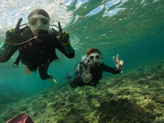 񂳂񂳂̕ւ̓eʐ^1