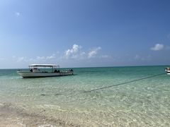 JTC̐Ί_ ADVENTURE PiPiւ̓eʐ^1