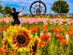 ���̗������̎ʐ^2