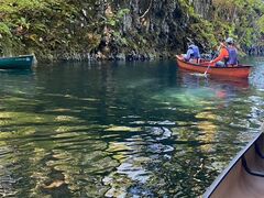 mXP̃Oh@RIB Tripւ̓eʐ^1