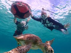 ̋{blue܂ق΂ւ̓eʐ^1