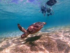 Tonkő{blue܂ق΂ւ̓eʐ^1