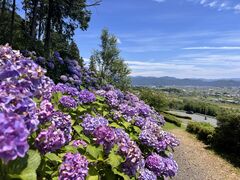 ���ԃP�k�����̎ʐ^2