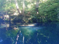 ̂ނ񂳂̃BgJ̓]ւ̓eʐ^1