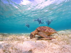 semakataCHAMP TOUR {Óւ̓eʐ^1