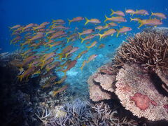 rikaköɗǕ}KCh}nւ̓eʐ^2