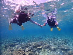 rikaköɗǕ}KCh}nւ̓eʐ^3