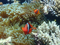 rikaköɗǕ}KCh}nւ̓eʐ^4