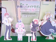 Tv̊όY_{݁uK[̑~v̓eʐ^8