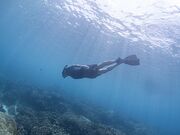 UL}Sun Tribe miyakojima̓eʐ^2