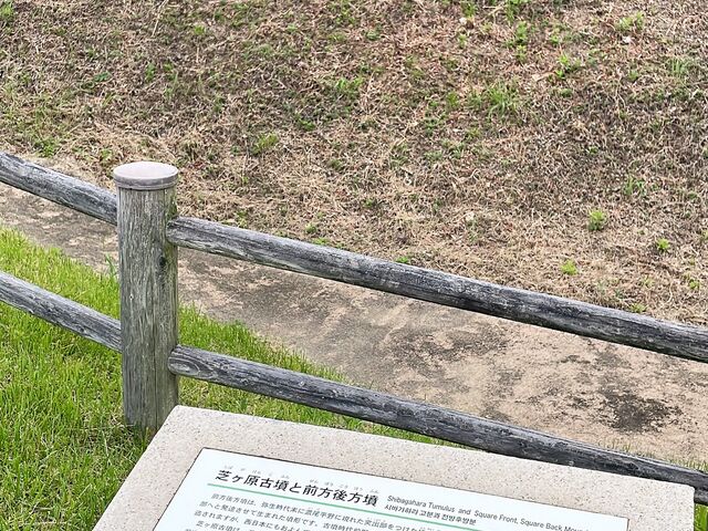 mi̎jՋvÐÕQ̓eʐ^5