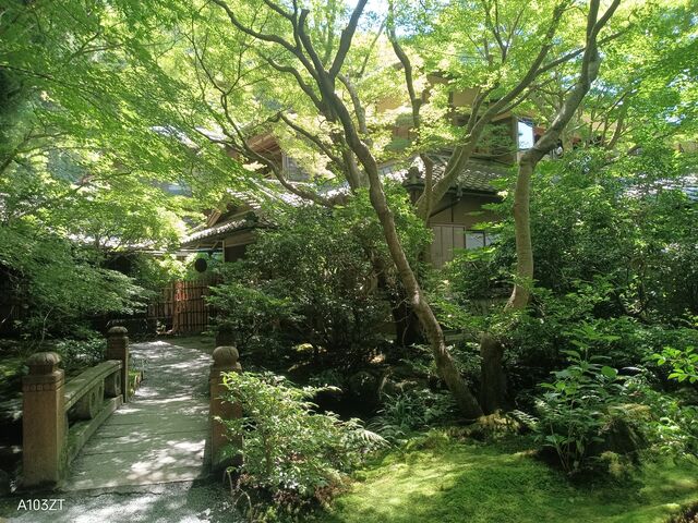 ������f�G_�ڗ����@