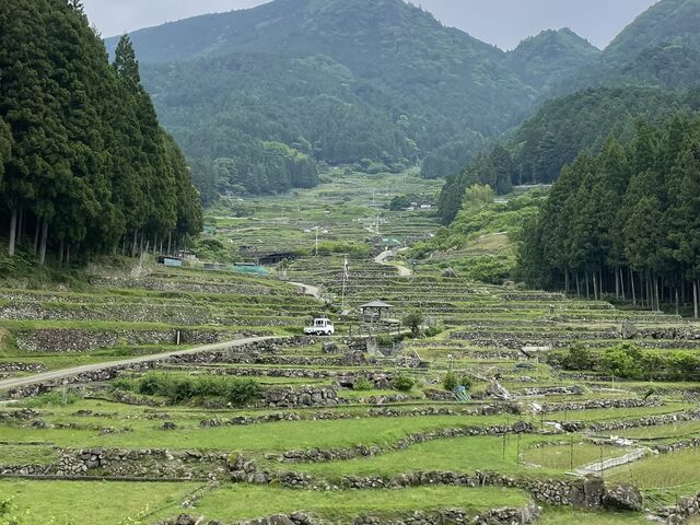 lJ疇ci疇cj猩グ_CR