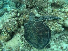 ojaojamama5871SHISHIΊ_ւ̓eʐ^1