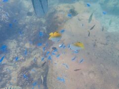 ̐̓A@Dive@ւ̓eʐ^1