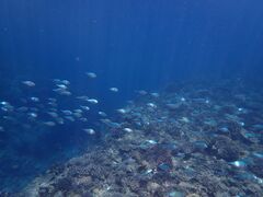 ̃}Vbv }[Chւ̓eʐ^1