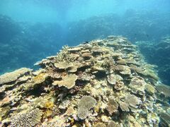 Ȃ̐Ί_ ADVENTURE PiPiւ̓eʐ^1