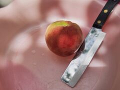 XpL[̂܂邦όʎւ̓eʐ^1