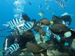 䂸ۂ񂳂̕ւ̓eʐ^1